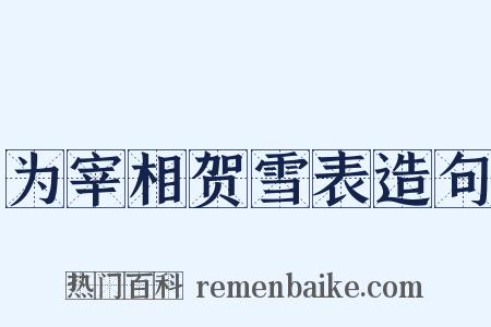 为宰相贺雪表造句是什么意思的图片